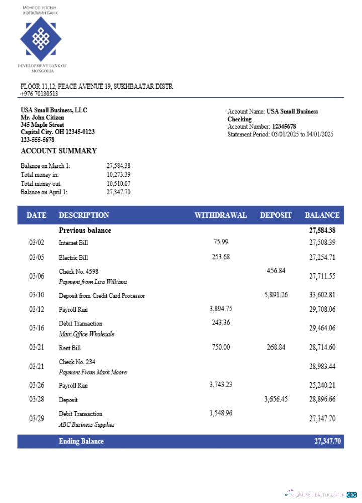 Development Bank of Mongolian organization checking account statement Word and PDF template (1)